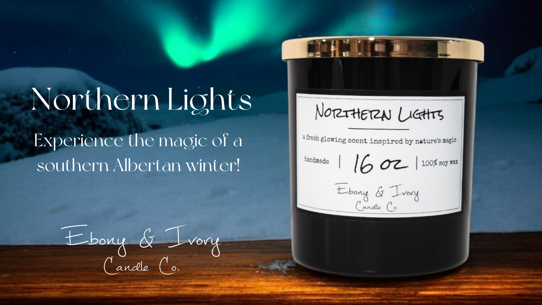 Northern Lights: Experience the Magic of a Southern Albertan Winter Without Leaving Your Home