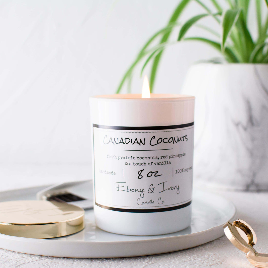 Canadian Coconuts candle Canada coconut pineapple vanilla summer candle Alberta