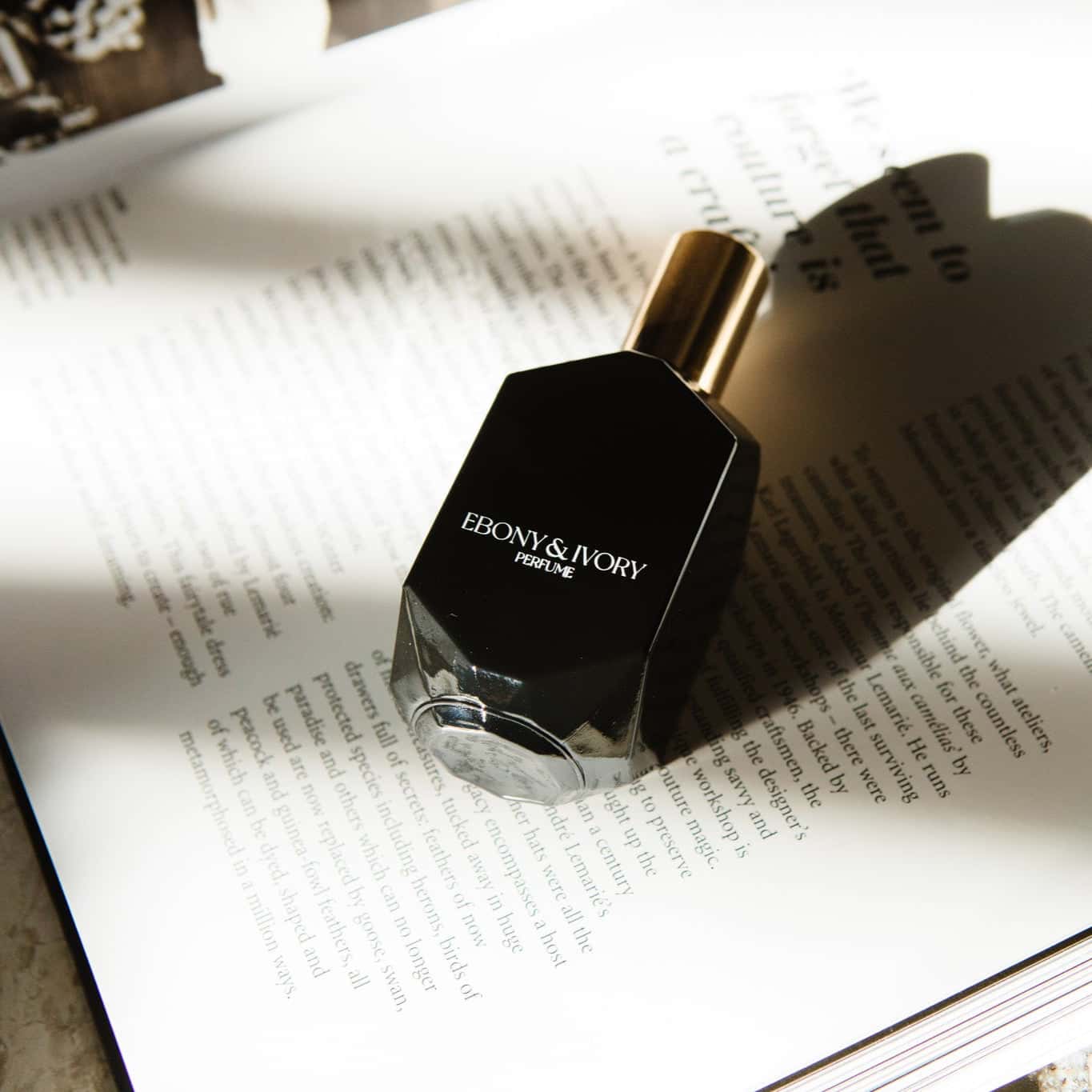 A black geometric perfume bottle with a gold lid and white text that says Ebony & Ivory Perfume, laying on top of an open book, made in lethbridge, alberta, canada