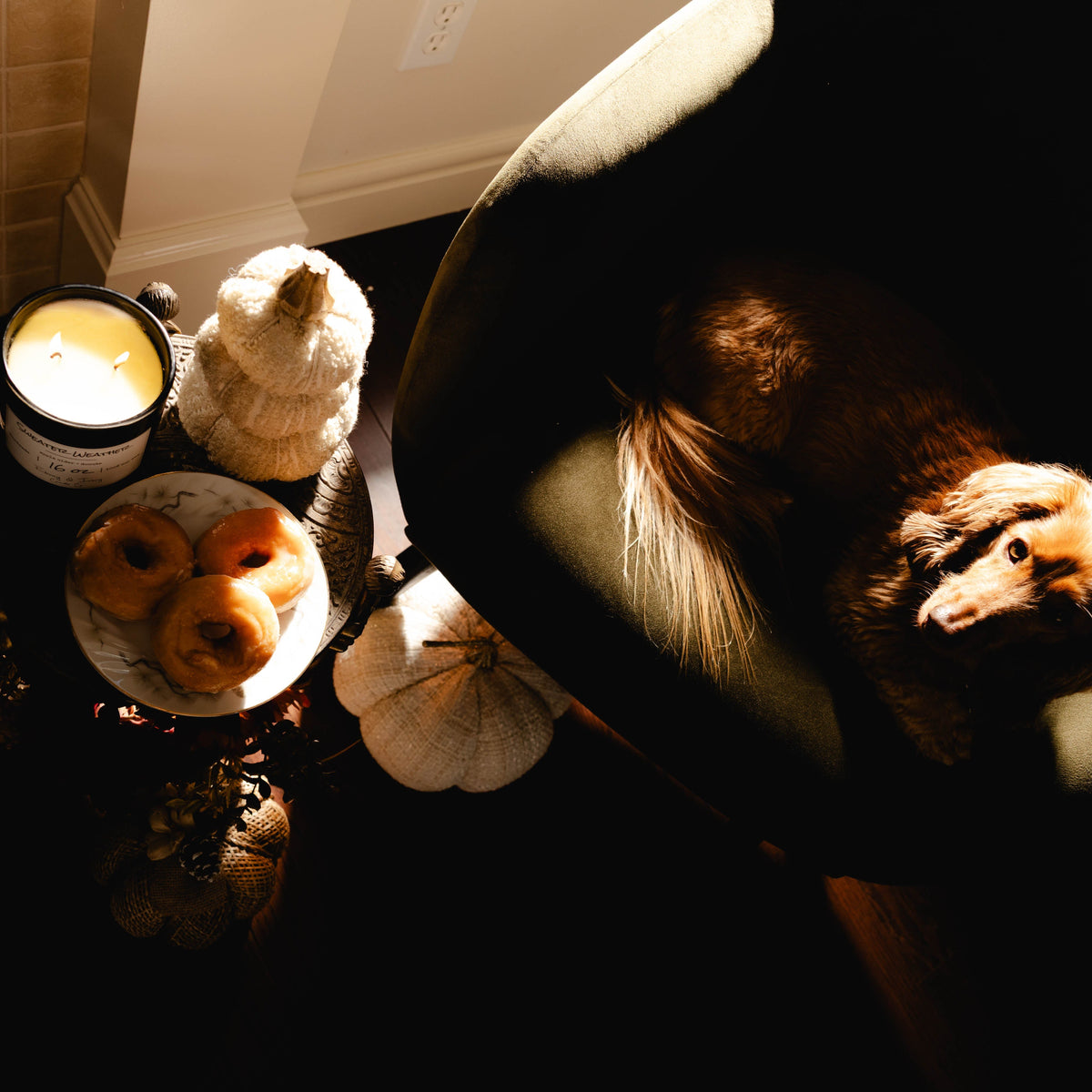 A black jar 16oz soy candle with a white label named Sweater Weather, on a cozy wooden table with a plate of doughnuts, next to a comfy arm chair with a brown dog named Norbert. made by Ebony & Ivory Candle Co in Lethbridge, Alberta, Canada
