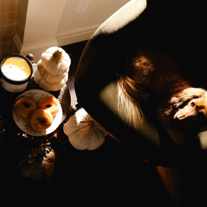 A black jar 16oz soy candle with a white label named Sweater Weather, on a cozy wooden table with a plate of doughnuts, next to a comfy arm chair with a brown dog named Norbert. made by Ebony & Ivory Candle Co in Lethbridge, Alberta, Canada