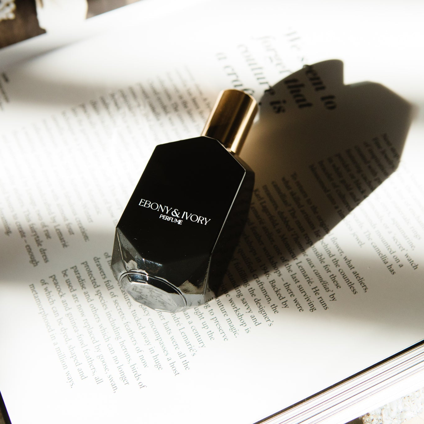 a black geometric perfume bottle made by ebony & ivory candle co in lethbridge, alberta, canada, laying on an open book