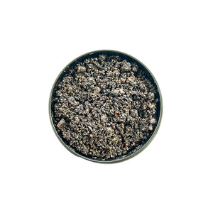 ebony and ivory candle co's coffee scrub in a black container