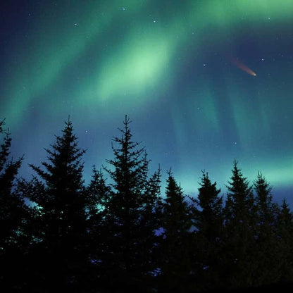 Northern Lights